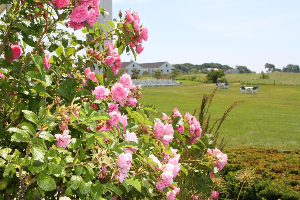 The Seaside Inn Kennebunk Zewnętrze zdjęcie